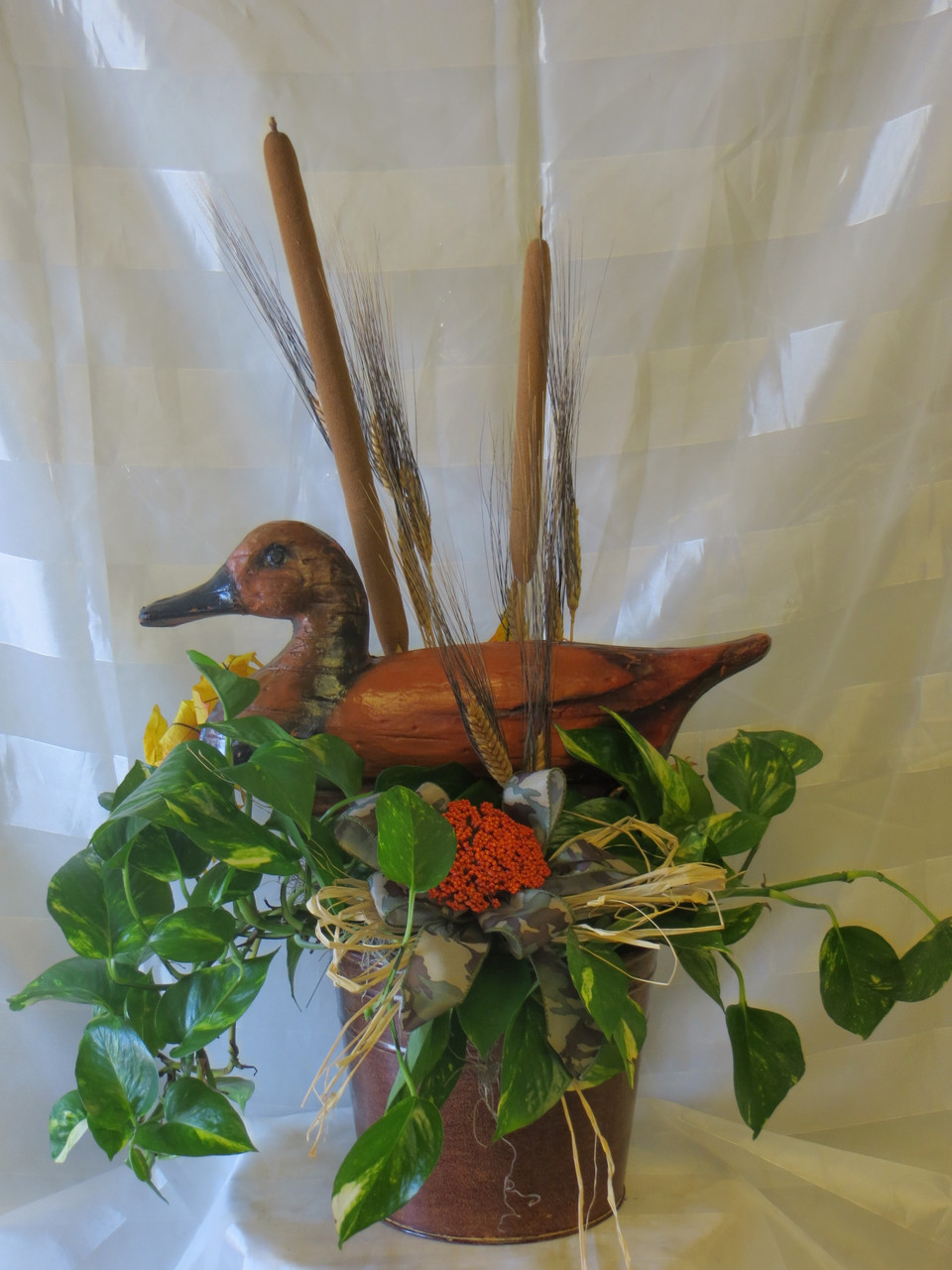 Duck Decoy Ivy Plant